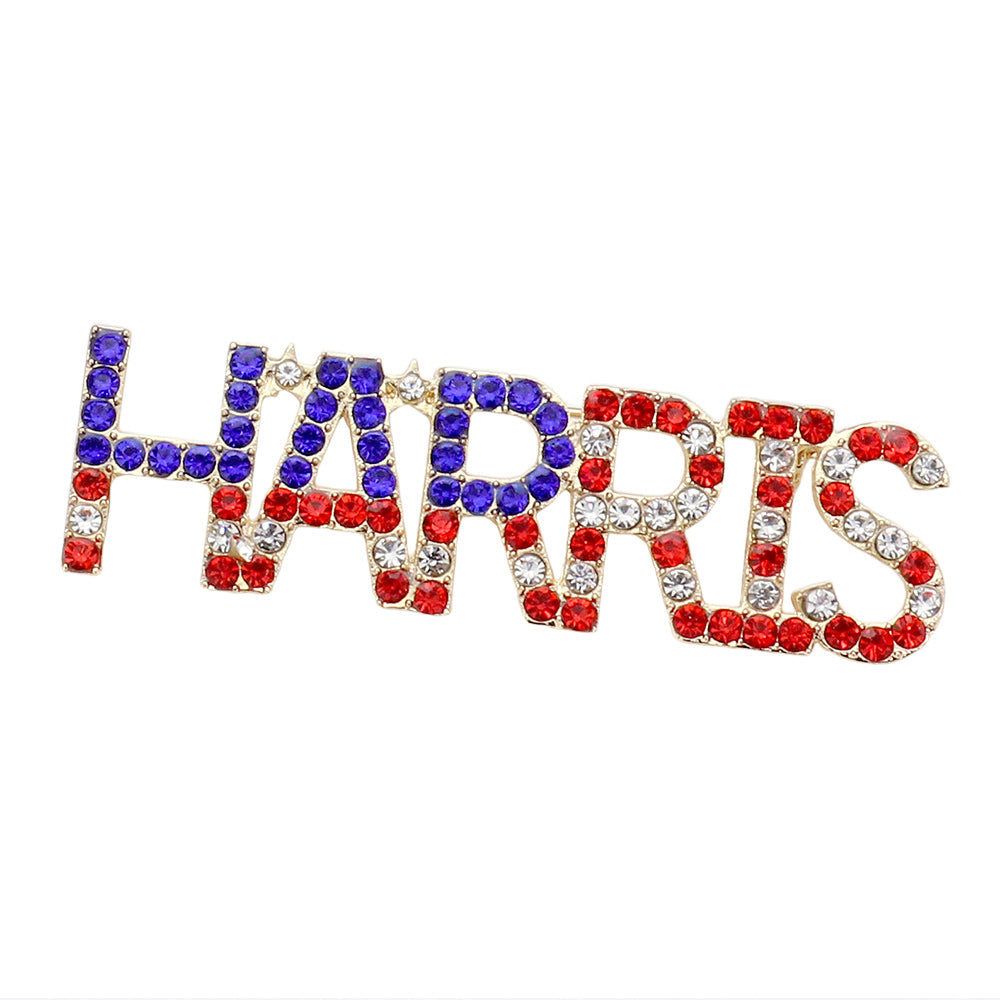 iLLASPARKZ American USA Stone Paved HARRIS Pin Brooch