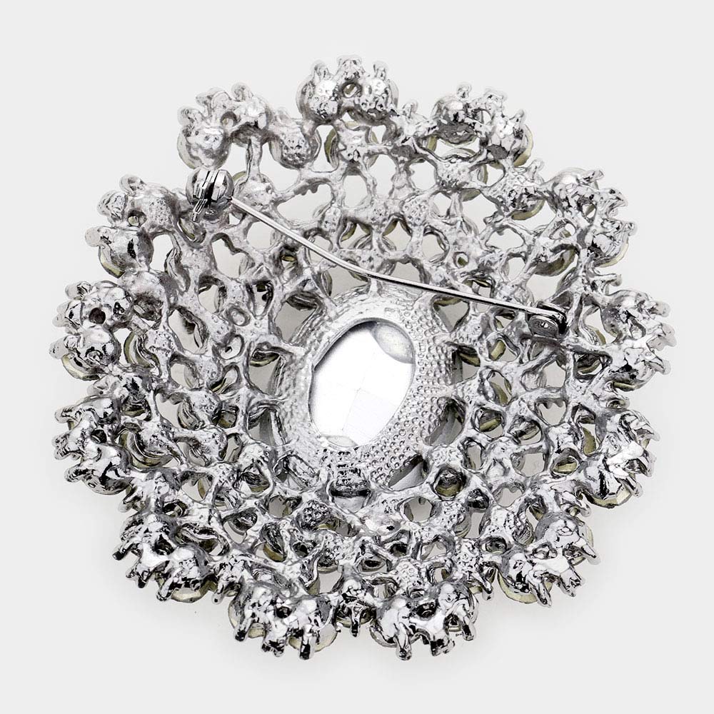 iLLASPARKZ Oval Stone Center Flower Pin Brooch